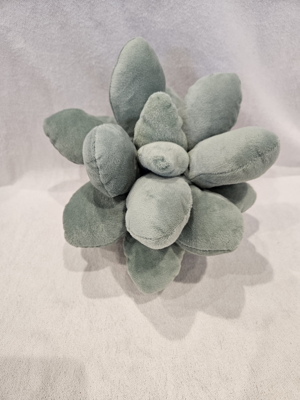 Plush Succulent Stuffed Toy - Sage Green - Picture 3 of 7